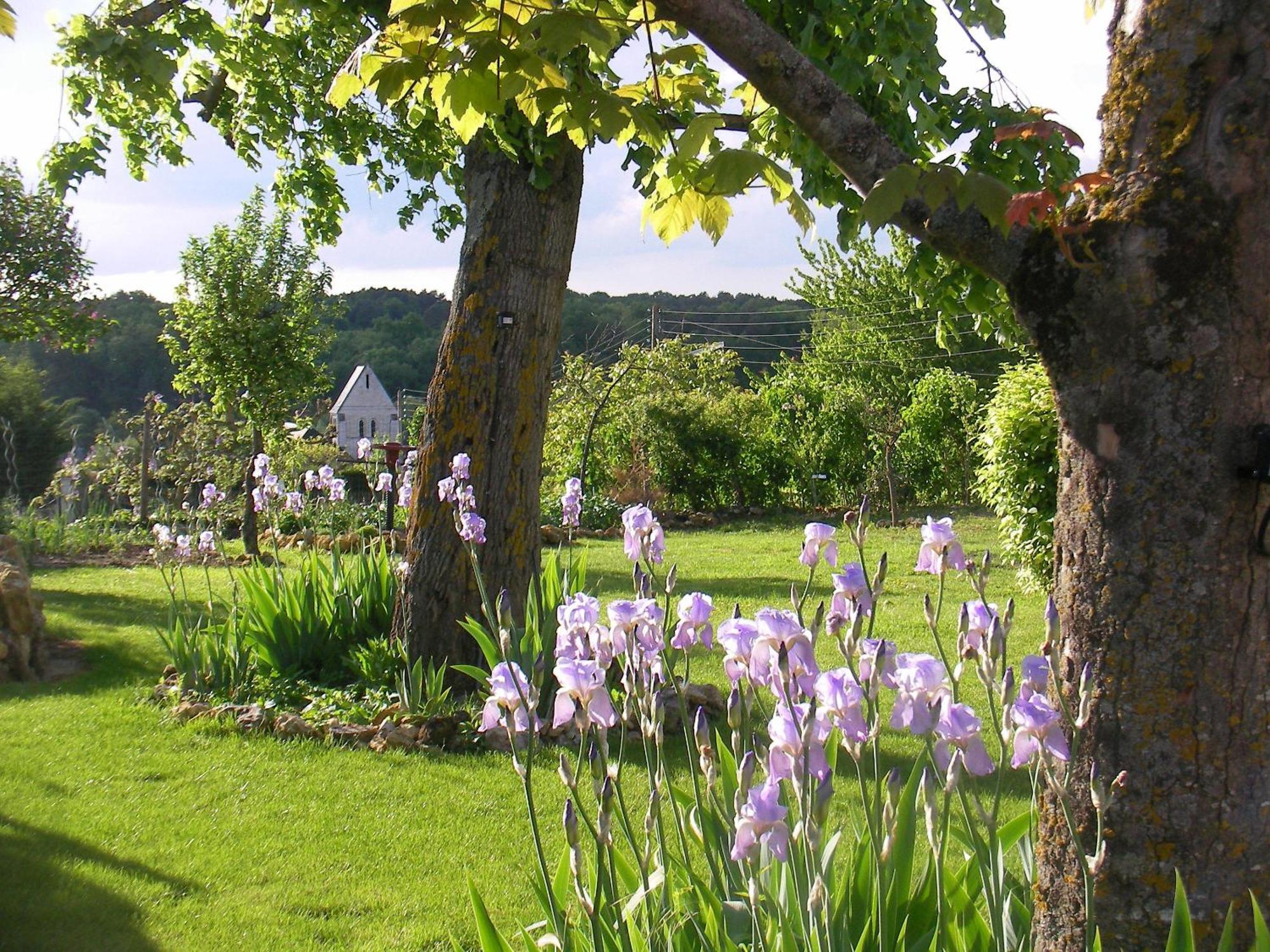 Chambres D'Hotes La Vallee Des Vignes Monthou-sur-Cher Luaran gambar